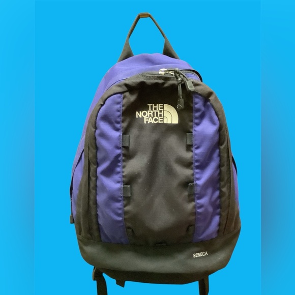 The North Face Seneca Men's Backpack in Black and Purple